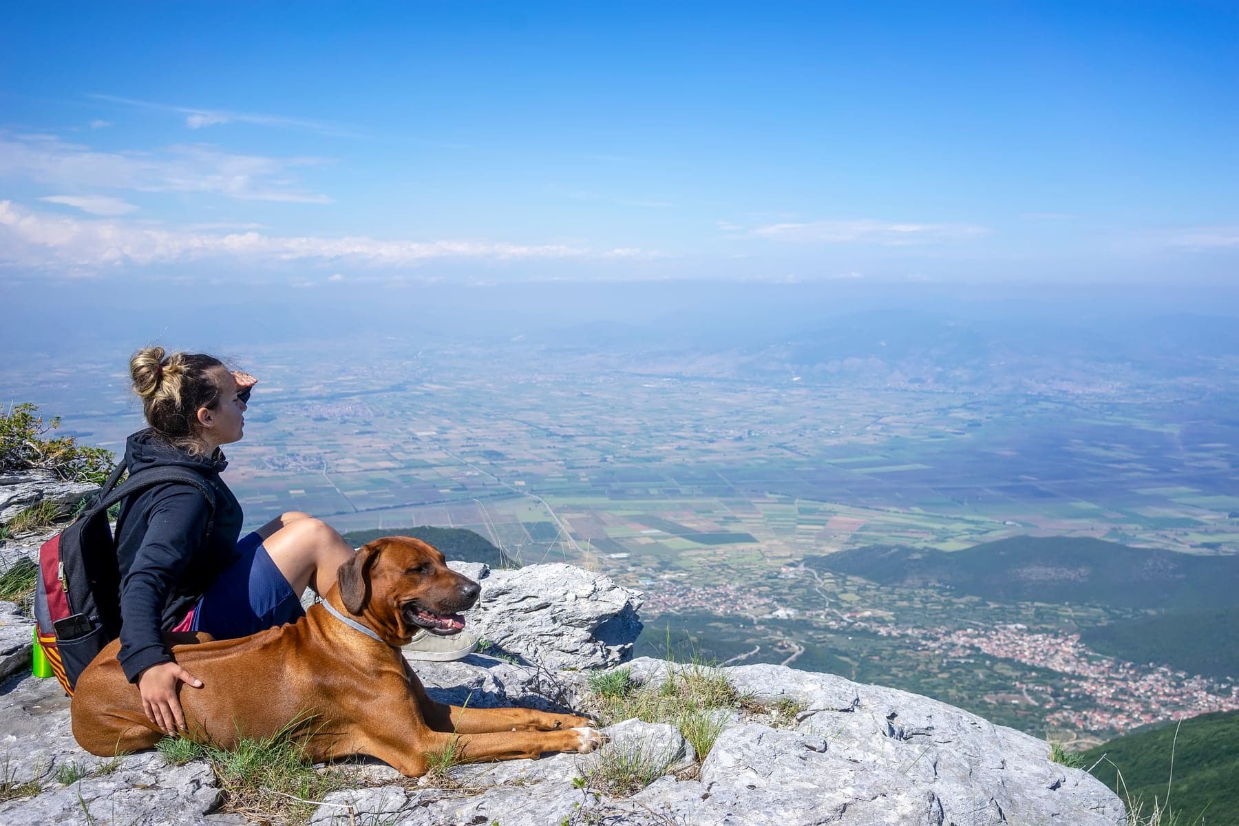 A wheaten Rhodesian Ridgeback resting beside a backpacker on a mountain summit, a wide valley spread out below.