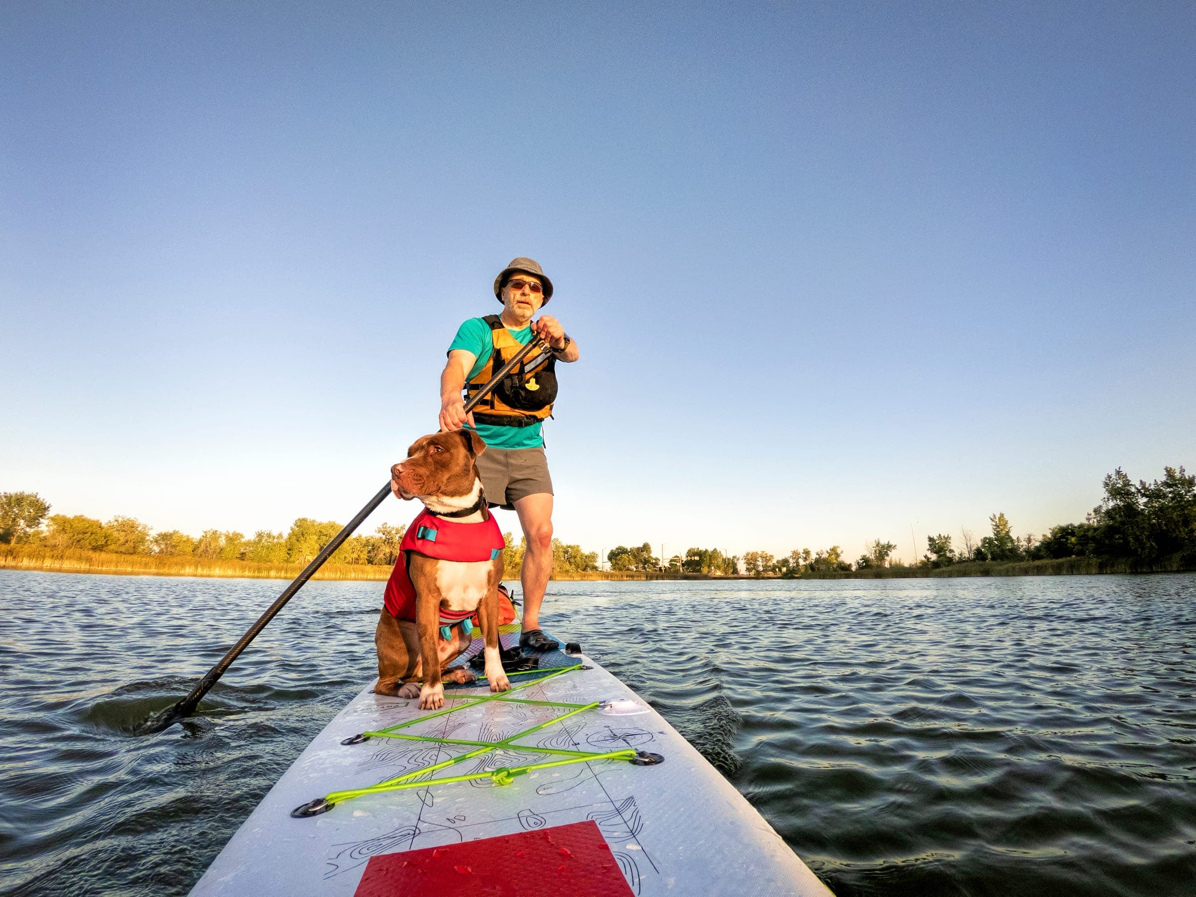 Dog standing on the bow of a paddleboard on a calm lake.