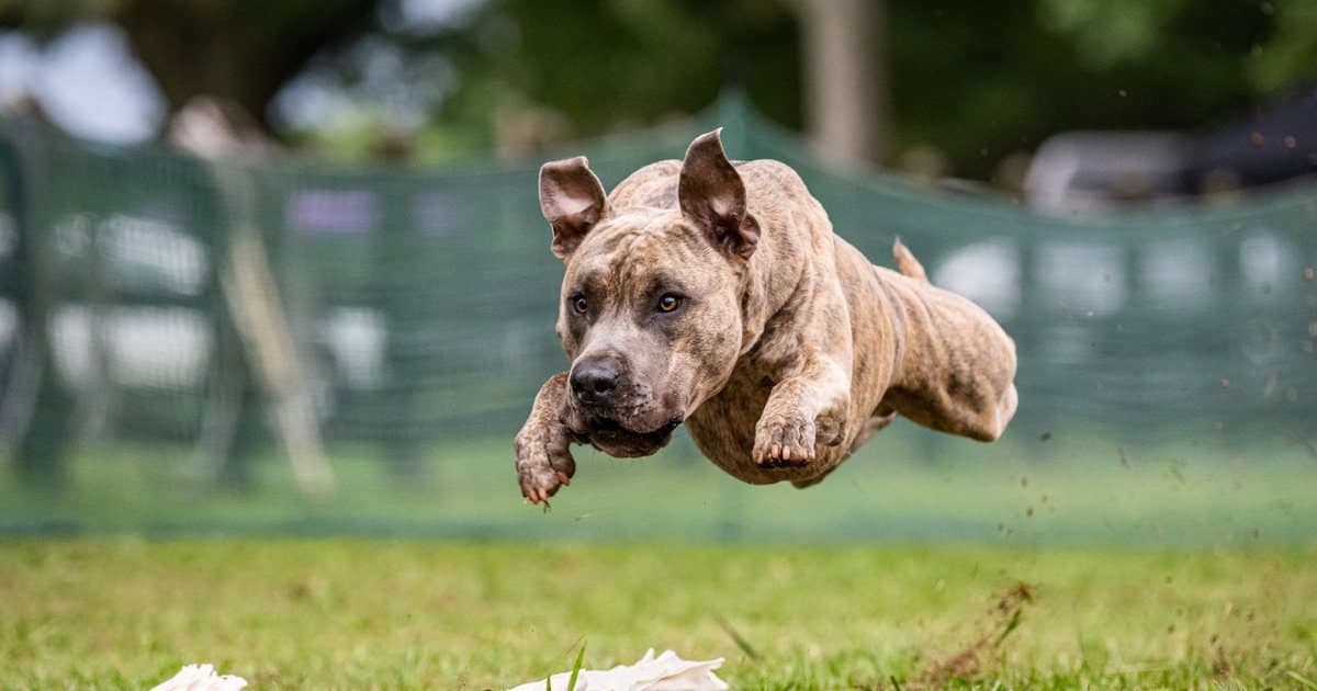 Homepage — photo by Beau and Arrow Images