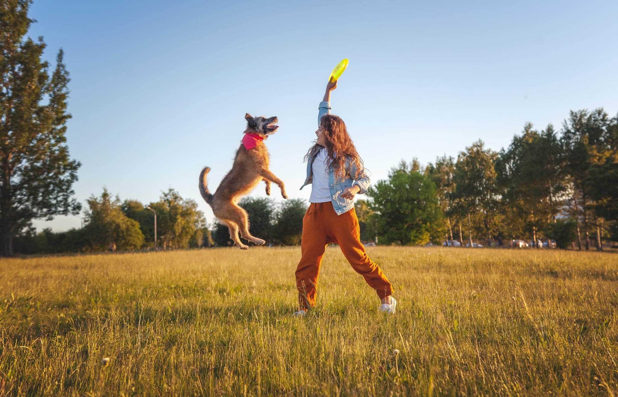 A young handler playing frisbee with her dog in a summer park.