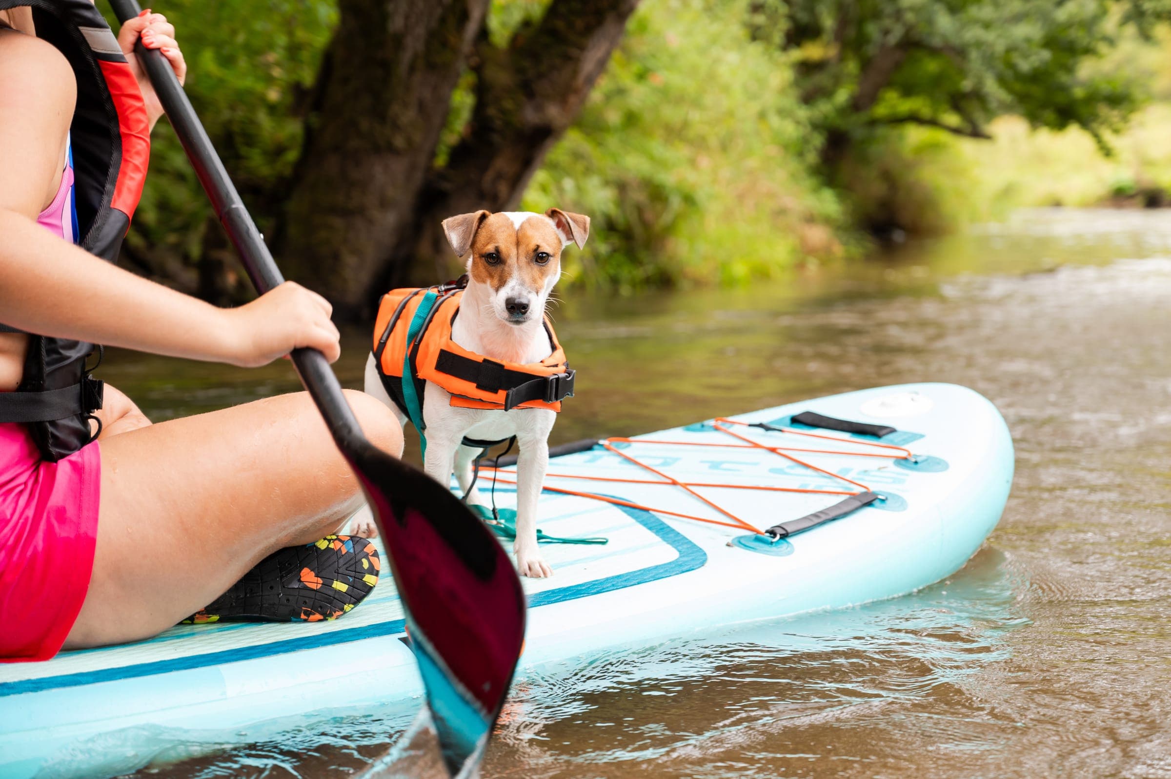 Paddleboard SUP